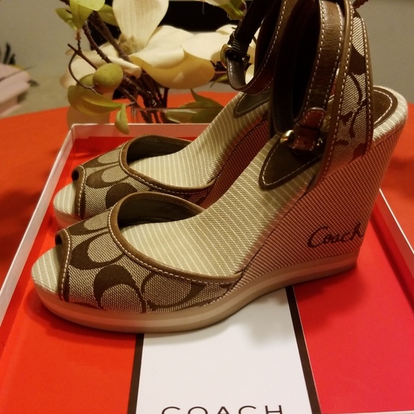 Tawney wedge - Picture 2 of 2